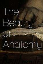 Watch The Beauty of Anatomy 1channel