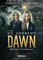 Watch V.C. Andrews' Dawn 1channel