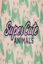 Watch Super Cute Animals 1channel