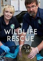 Watch Wildlife Rescue 1channel