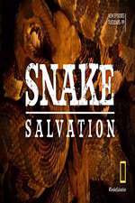 Watch Snake Salvation 1channel