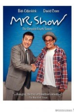 Watch Mr. Show with Bob and David 1channel