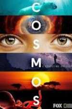 Watch Cosmos A SpaceTime Odyssey 1channel