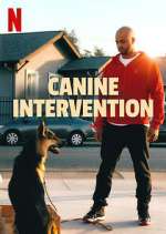 Watch Canine Intervention 1channel