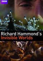 Watch Richard Hammond's Invisible Worlds 1channel