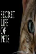 Watch The Secret Life of Pets 1channel