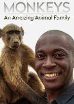 Watch Monkeys: An Amazing Animal Family 1channel