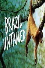 Watch Brazil Untamed 1channel