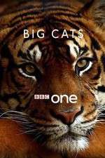 Watch Big Cats 1channel