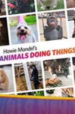 Watch Howie Mandel\'s Animals Doing Things 1channel