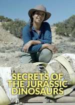 Watch Secrets of the Jurassic Dinosaurs 1channel