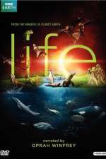 Watch Life 1channel