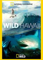 Watch Wild Hawaii 1channel