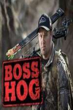 Watch Boss Hog 1channel