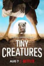 Watch Tiny Creatures 1channel