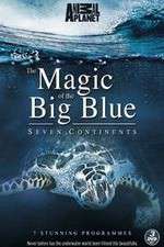 Watch The Magic of the Big Blue 1channel