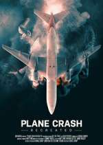 Watch Plane Crash Recreated 1channel