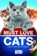 Watch Must Love Cats 1channel