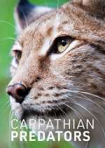 Watch Carpathian Predators 1channel