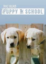 Watch Dog Squad: Puppy School 1channel