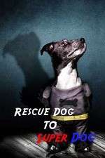 Watch Rescue Dog to Super Dog 1channel