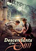 Watch Descendants of the Sun 1channel