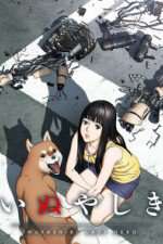 Watch Inuyashiki 1channel