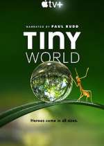 Watch Tiny World 1channel