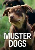 Watch Muster Dogs 1channel