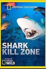 Watch Shark Kill Zone 1channel