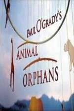 Watch Paul O'Grady's Animal Orphans 1channel