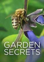 Watch Garden Secrets 1channel