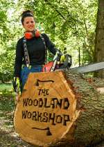 Watch The Woodland Workshop 1channel