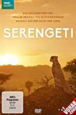 Watch Serengeti 1channel