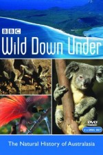 Watch Wild Down Under 1channel