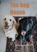 Watch The Dog House 1channel