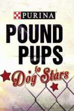 Watch Purina Pound Pups To Dog Stars 1channel