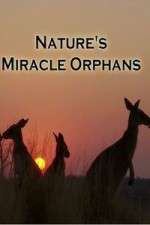 Watch Nature's Miracle Orphans 1channel