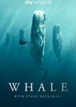 Watch Whale with Steve Backshall 1channel