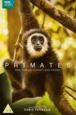 Watch Primates 1channel