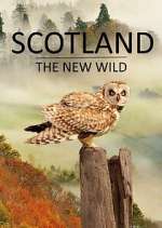 Watch Scotland - The New Wild 1channel