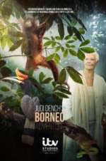 Watch Judi Dench\'s Wild Borneo Adventure 1channel