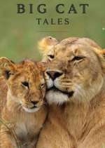 Watch Big Cat Tales 1channel