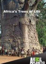Watch Africa's Trees of Life 1channel