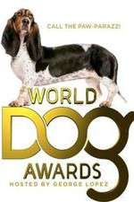 Watch The World Dog Awards 1channel