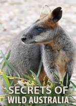 Watch Secrets of Wild Australia 1channel