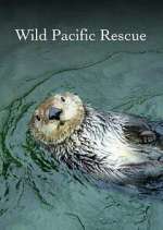 Watch Wild Pacific Rescue 1channel