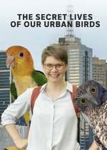 Watch The Secret Lives of Our Urban Birds 1channel