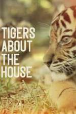 Watch Tigers About the House 1channel