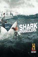 Watch Shark Wranglers 1channel